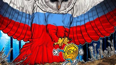 شفافیت به عقب رانده شد: دولت روسیه در ایجاد یک موضع تلفیقی در مورد مقررات ارزهای دیجیتال شکست خورده است