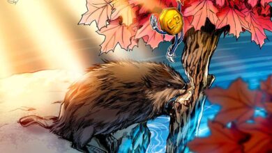 کانادا «قانون شرایط اضطراری» را که تأمین مالی جمعی و ارزهای دیجیتال را هدف قرار می دهد، استناد می کند