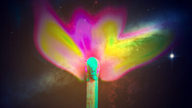 به همین دلیل است که بنیانگذاران Cosmos "Tendermint" تصمیم به تغییر نام تجاری گرفتند 12 به همین دلیل است که بنیانگذاران Cosmos “Tendermint” تصمیم به تغییر نام تجاری گرفتند