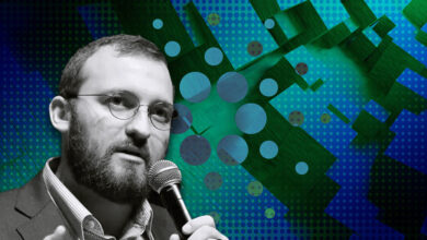 بنیانگذار کاردانو متهم به جعل مدارک تحصیلی خود شد، آیا این مهم است؟