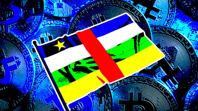 صندوق بین المللی پول نسبت به پذیرش بیت کوین توسط جمهوری آفریقای مرکزی به عنوان ارز قانونی ابراز نگرانی می کند