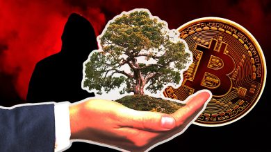 اکنون برای کریپتو که ESG به عنوان یک کلاهبرداری نامیده می شود، چه می شود؟