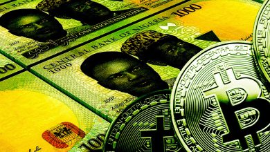 نایرا اکنون سومین «نرخ ارز دیجیتال» را دارد زیرا نیجریه‌ها به شدت به ارزهای دیجیتال متکی هستند