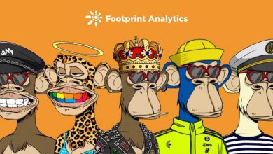 راهنمای اکوسیستم NFT Bored Ape Yacht Club (BAYC).