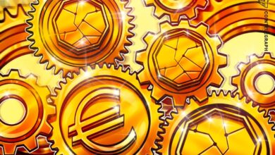 تسویه دیجیتال یورو، گزینه های توزیع که در آخرین گزارش پیشرفت شرح داده شده است