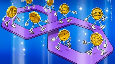 چند ضلعی مجموعه‌های دانش صفر، ادغام شبکه اصلی ورودی را آزمایش می‌کند