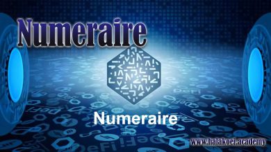 معرفی اجمالی ارز دیجیتال Numeraire